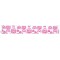 Cinta Gros AAA Por Metro (38mm) - Pink✔️
