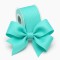Cinta Gros 75mm #16 - Rollo 5 metros - AQUA #314