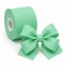 Cinta Gros 38mm #9 - Rollo 5 metros - VERDE MENTA #530