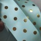 Cinta Gros (38mm) FOIL - Pieza 5 metros - Lunares Menta✔️