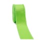 Cinta Gros Flecos (25mm) VERDE MANZANA #550 - Pack de 5 metros