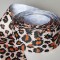 Cinta Gross Animal Print Rollo 5 metros - Leopardo Claro (38mm) ✔️ 
