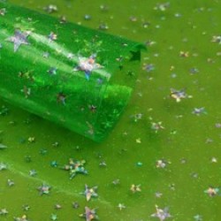 PVC de Estrellas (30x20cm) Plástico - Verde
