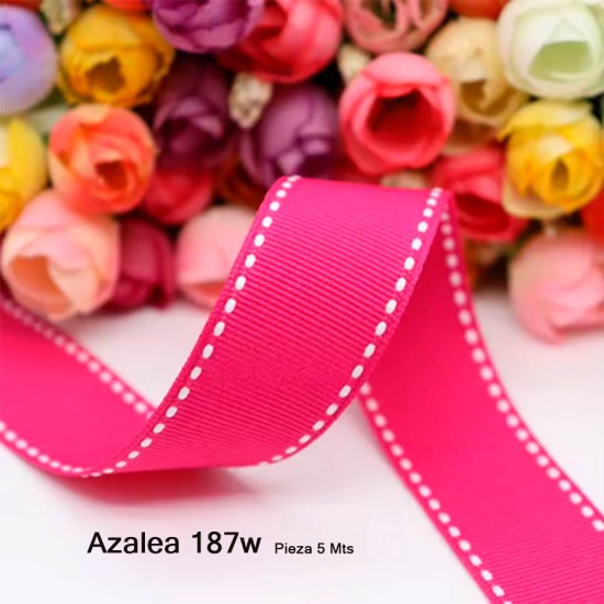 Cinta Gros Puntadas (38mm) - Pieza 5 metros AZALEA #187W
