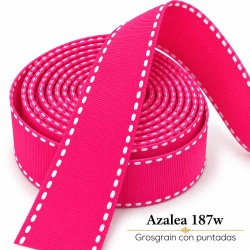 Cinta Gros Puntadas (9mm) - Pieza 5 metros AZALEA #187W