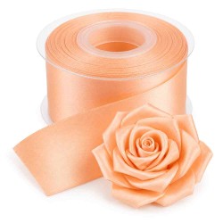 Cinta de Raso 5cms #18 -Rollo de 22,8metros 